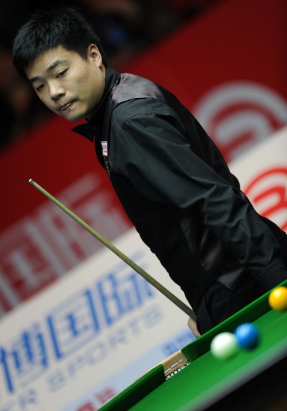 两位柏林马 两位柏林马