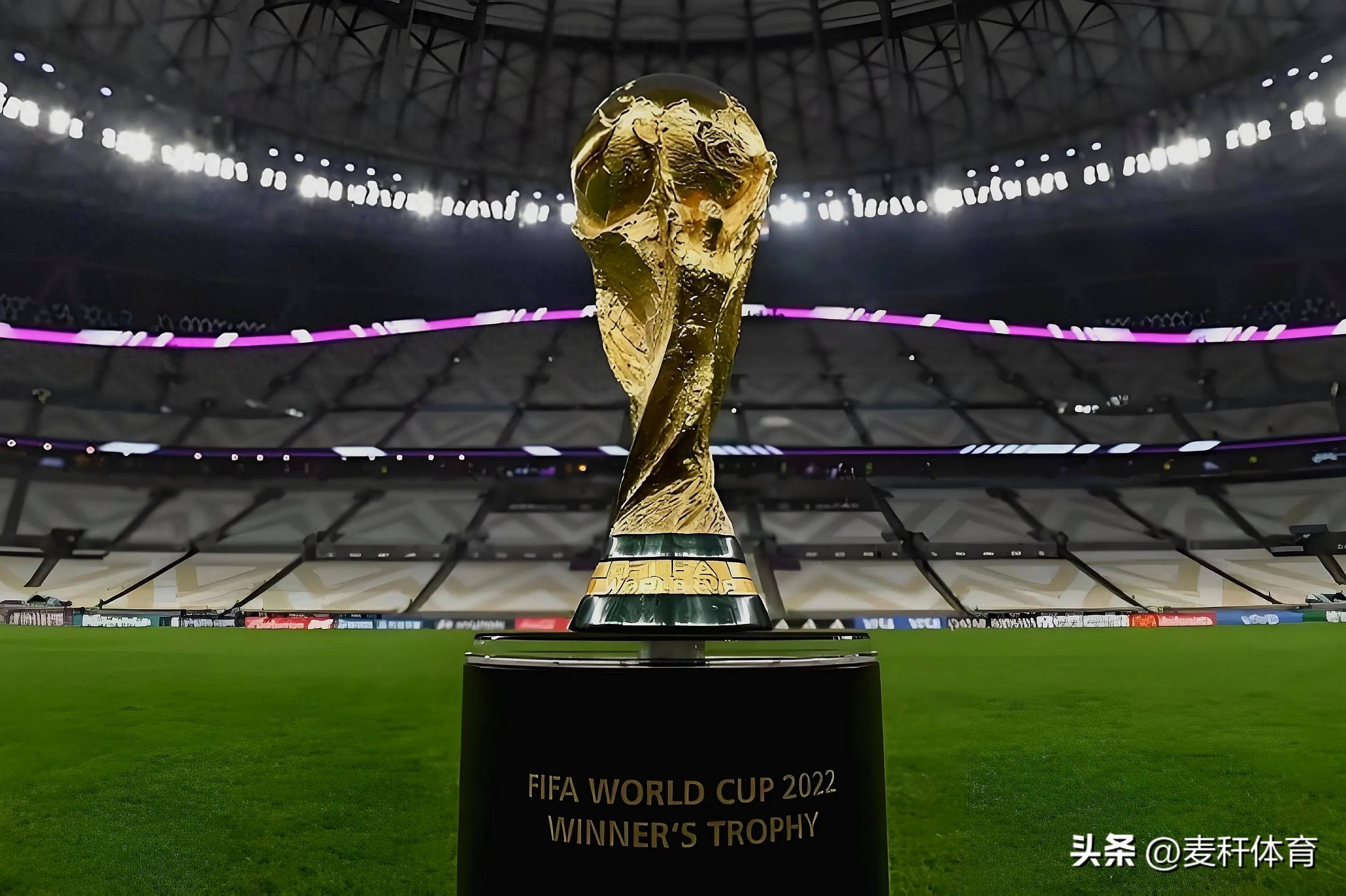 在对比分析 在对比分析